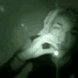 Guest_nxmii