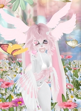 Guest_AngelArachnid