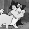 صورة الـavatar