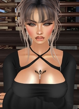 avpic
