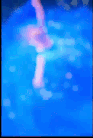 Guest_nicol550513