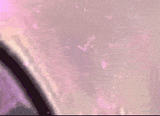 Guest_LYPE23