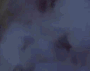 avatarbild