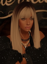 Guest_Cat311177