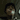 Guest_owen0880