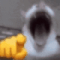 itsmeitsme