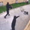 Guest_kingoftheKill