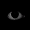 Guest_Taz579772