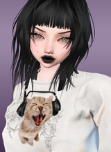 Guest_Lapisphere