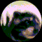 Crexmy1