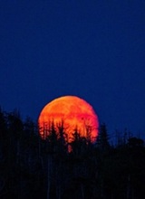 Guest_Alejandro412512