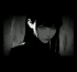 Guest_Ayla423714