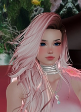 Guest_NicaNicaMePica