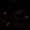 Guest_Sigxx