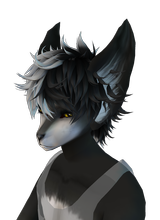 Vicissitude