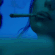 صورة الـavatar