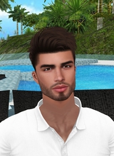 Guest_Darklion1