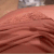 Guest_BNAN5