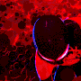 Pmgthemaster