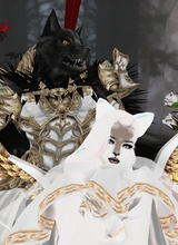 QUEENRANETTEROKER