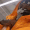 Guest_Jaden897986