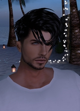Guest_Novel4