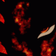 Guest_ashmar4