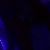 strxsxd
