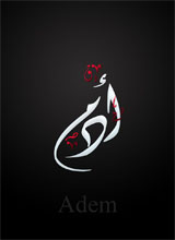 ADAMZl
