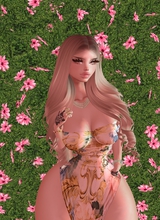 Guest_kim147