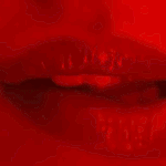 Guest_zoz693319