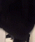 Guest_L7822392
