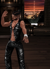 knightPhoenixWolf666