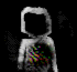 iynno