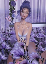 GALLETITA19