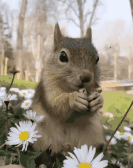 Guest_Gabri113