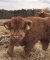 Guest_Moo178978