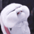 Guest_ItsIvory01