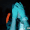 Guest_5ff11