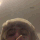 Guest_RIBEIRO1557