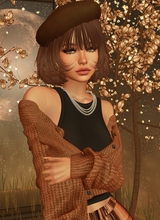 Guest_chycakes