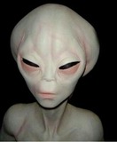 Guest_kornication