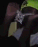 Guest_BBYREX1