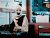 Guest_thecalendar