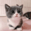 Guest_Sundaze