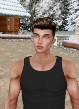 DamonSalvatoreHansen