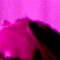Guest_luringbliss