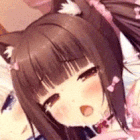 Guest_Ruikunn20