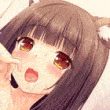 Guest_Ruikunn20