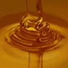 Guest_luckyhoney